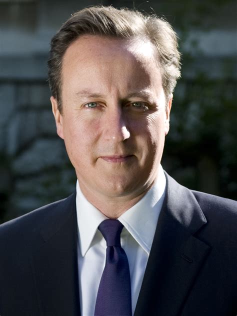 wikipedia david cameron